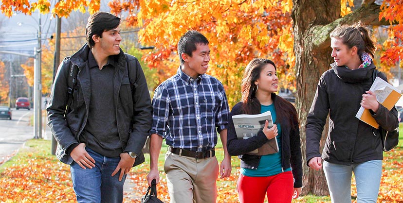 Three international students and one domestic student walk through a post-secondary campus in the fall./Trois étudiants internationaux et un étudiant national traversent un campus postsecondaire à l'automne.