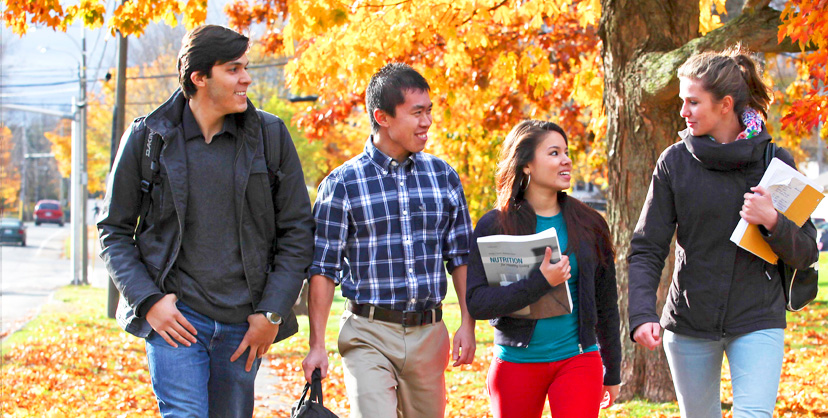 Three international students and one domestic student walk through a post-secondary campus in the fall./Trois étudiants internationaux et un étudiant national traversent un campus postsecondaire à l'automne.